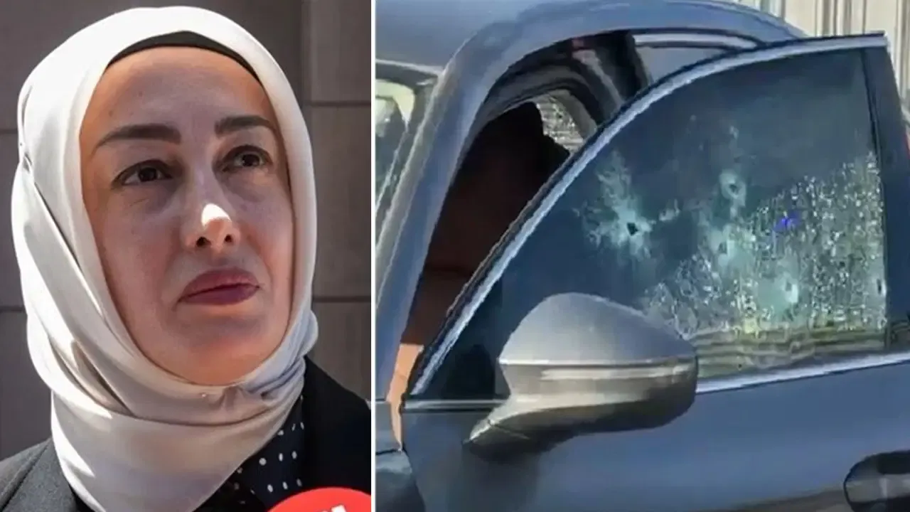 Ayşe Ateş’ten saldırıya ilişkin açıklama: Mahkemeye iletmiştim