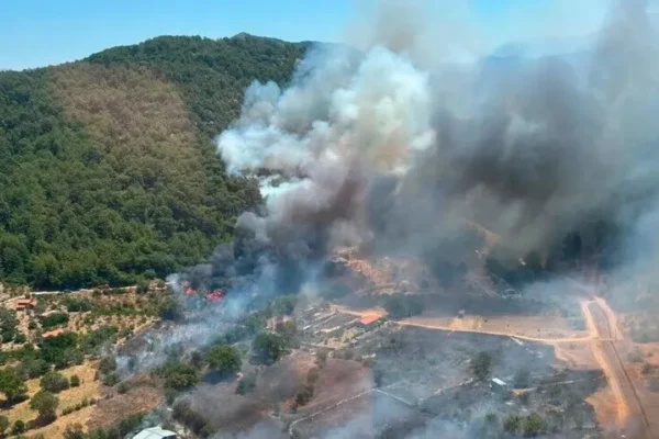 Fethiye’de çıkan orman yangınına havadan ve ...