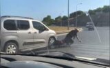 “Israrlı takip” sonrası motosiklete ça... “Israrlı takip” sonrası motosiklete ça...
